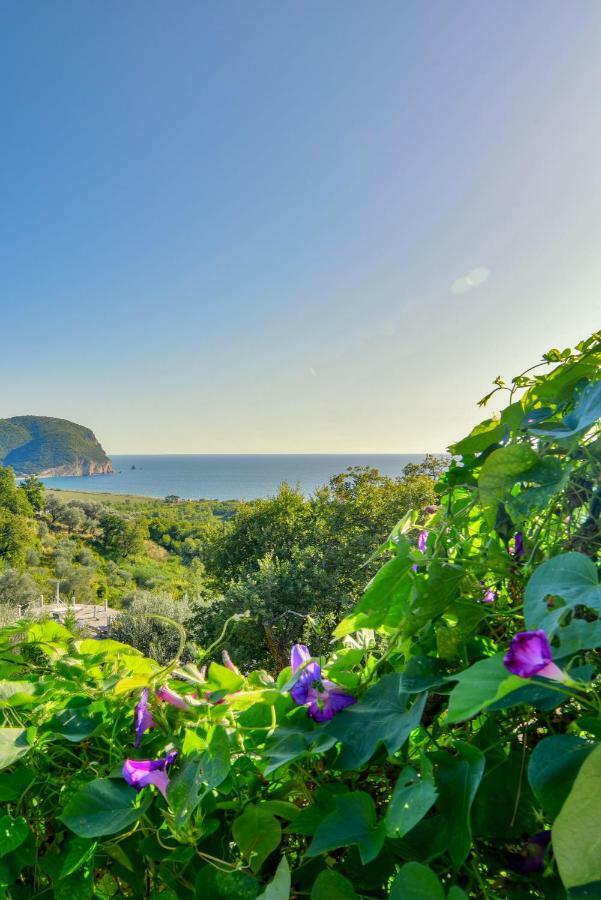 Pataki Guesthouse Petrovac エクステリア 写真