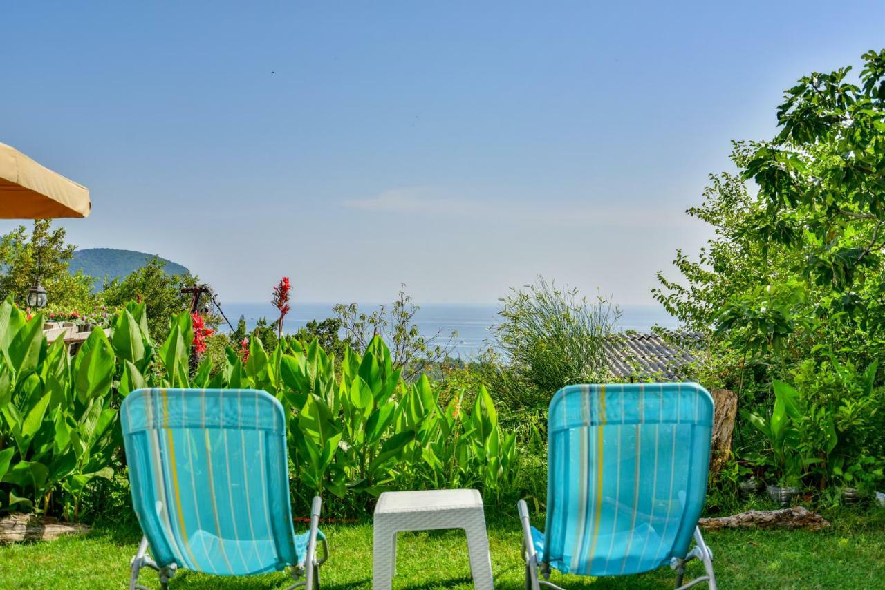Pataki Guesthouse Petrovac エクステリア 写真