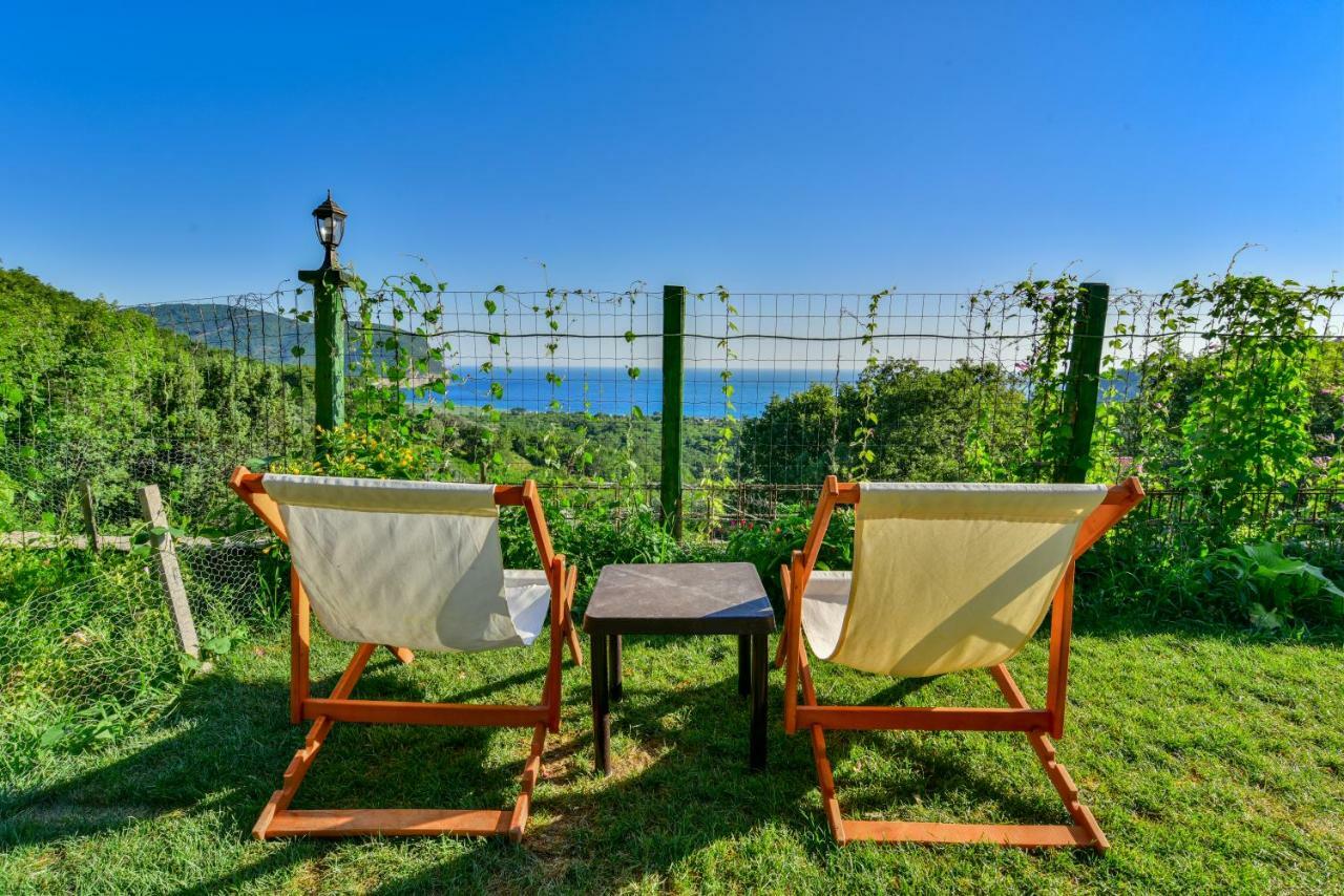 Pataki Guesthouse Petrovac エクステリア 写真