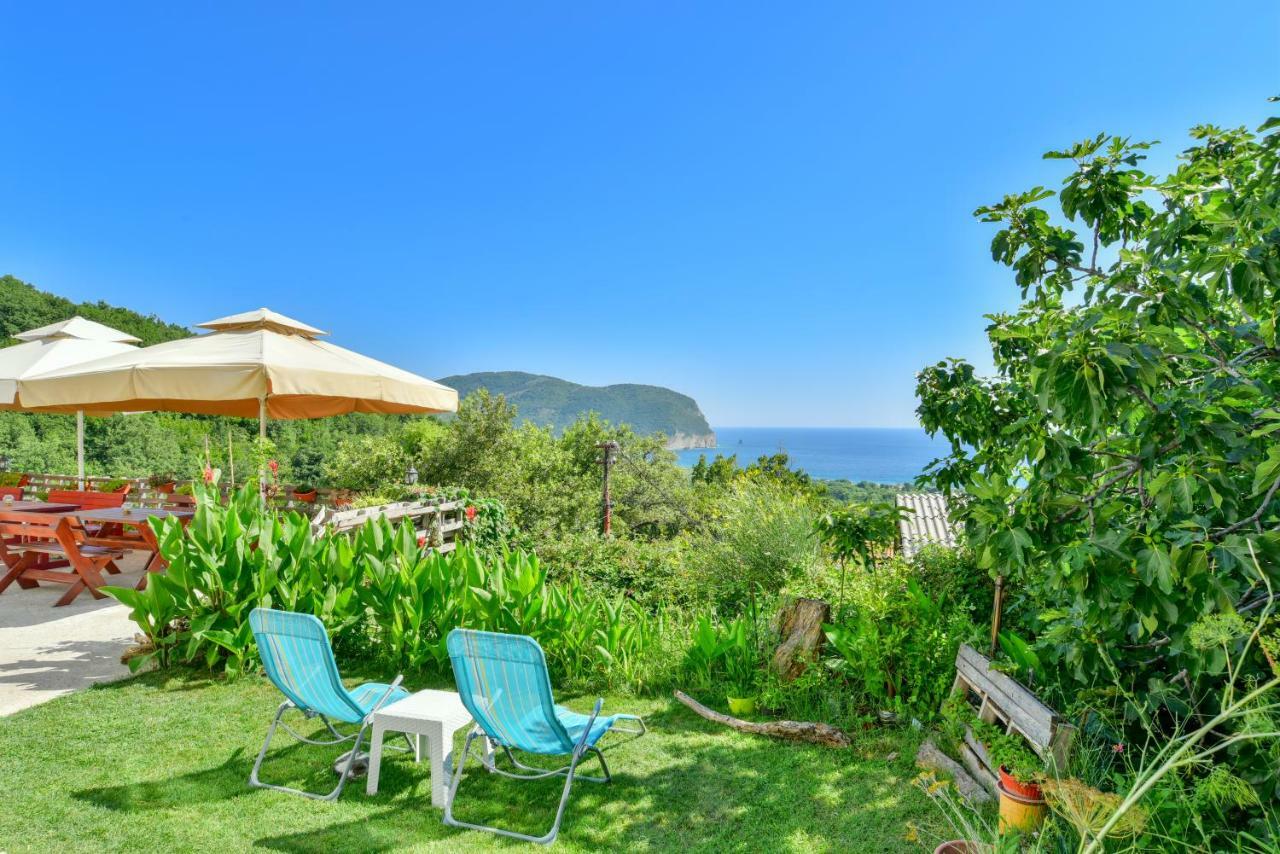Pataki Guesthouse Petrovac エクステリア 写真