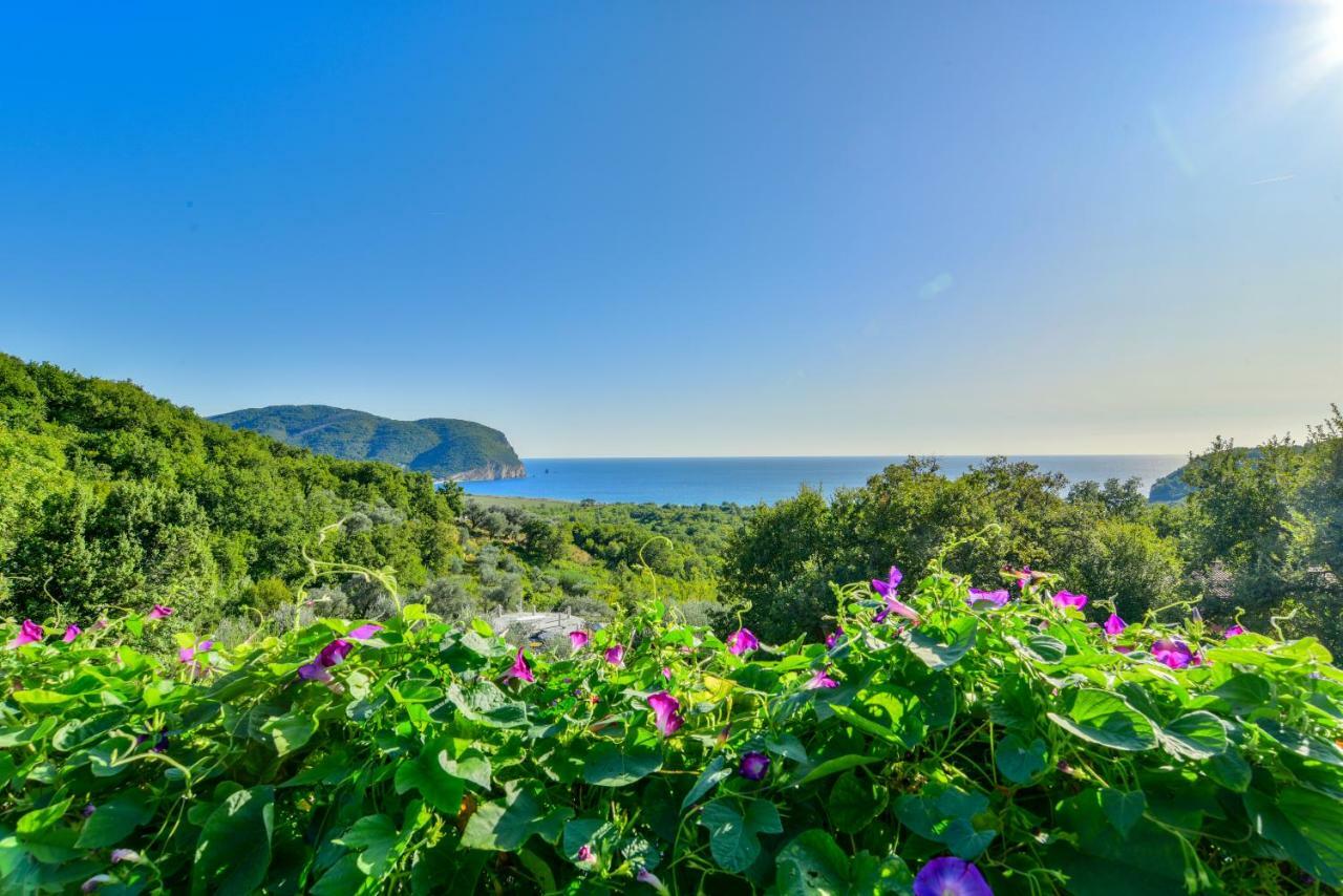 Pataki Guesthouse Petrovac エクステリア 写真