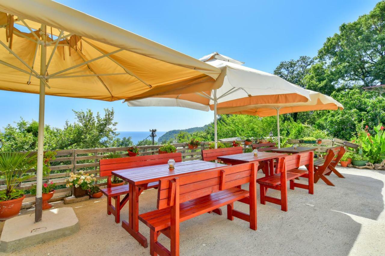 Pataki Guesthouse Petrovac エクステリア 写真